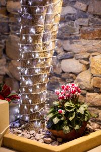 Luxury - Le petit Bati