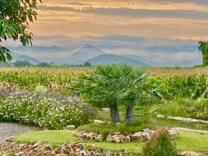 The Exclusive Baan Hinson Pool Villa