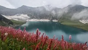 Orient guest house - Bālākot