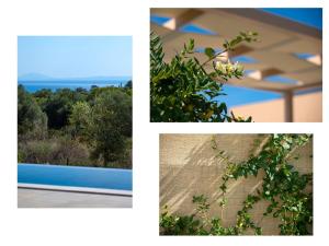 Villa Ioanna Mentoros