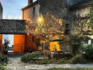 la Cour Carrée - 圣弗洛雷