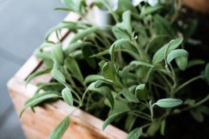 Luna, Stylish and Chic Collingwood Apartment