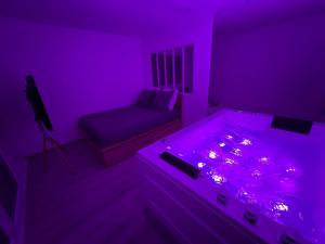 Appartements Appartement avec jacuzzi proche du centre : photos des chambres