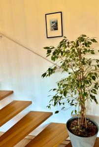 Bergpanorama Maisonetten Apartment nähe Salzburg