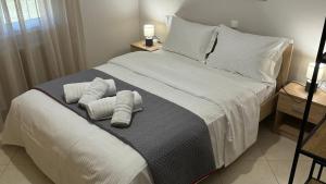 Luxury Countryside House