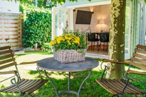 Bregenzer Traum am Bodensee inkl Fahrräder