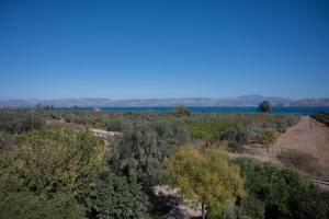 Elysian Garden Villa