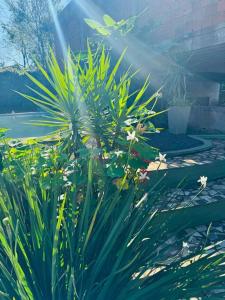 Apart El Altillo, loft ambientes abiertos 6 pax en Cataratas pileta compartida