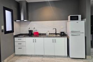 Departamento Los Sauces 850