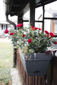 Hiška 231 - Kamp Terme 3000 - Brezplačne karte za kopališče!