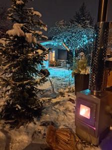 Leśny zakątek malediwy Jacuzzi free