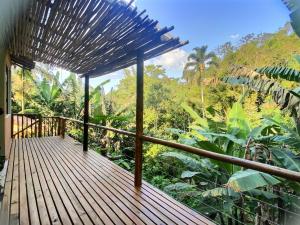 Jungle paradise in Paraty