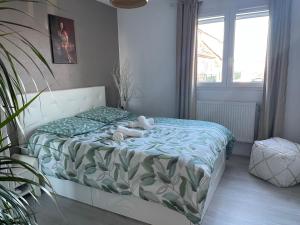 Appartements Appart cosy 4 a 6 pers - parking prive - 5 min Colmar - poele a pellets - 2 terrasses : photos des chambres