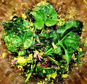 Parc de Biodiversité Le Castel - Maison dhôtes & Table Bio