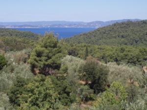 Villa Liogerma Skopelos Greece