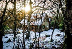 Ellastone, woodland lodge with hot tub for 8