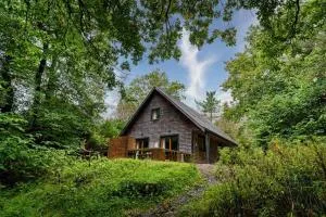 Ellastone, woodland lodge with hot tub for 8 - 奥尔顿