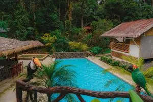 Finca Las Palmas Ecolodge - Canelos