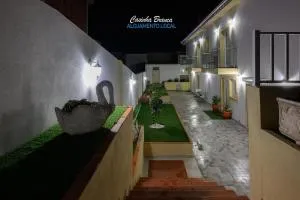 Casinha Branca - Donas