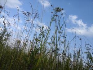 Vier Winde Usedom - Ferienanlage