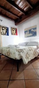 Colosseo Historical Apartment La Romana