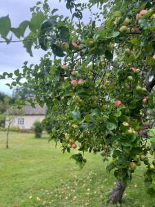 Privaatne talu otse mere ääres