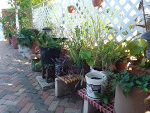 Cozy Studio Apartment-Free airport pickup and off