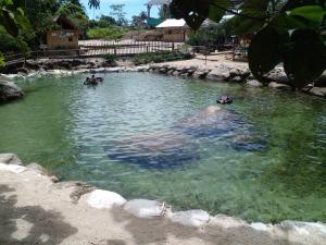 Habitación cómoda y confortable