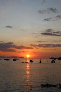 Komodo Shores Homestay