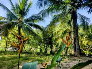 Casa pájaros- Habitación Colibri