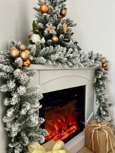 Resita Dream Apartament