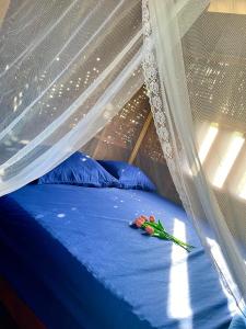 Baanbua bungalows Koh Chang Ranong