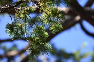 金沢之旅宿 あけぼの Kanazawa stay Akebono