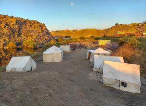ASSINGAR camp