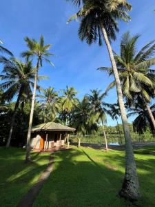 Yonan River Face Safari Resort