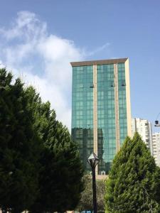 Kuzey Adanada merkezi konumda