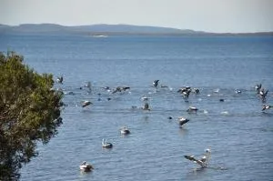 丹麦沃特斯住宿加早餐旅馆 - Emu Point