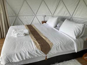 The will glamping&camping