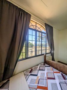 Screaming Gecko Hostel