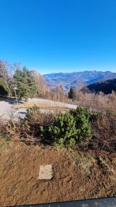 Monte Bondone, appartamento tipico di montagna 2