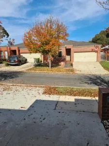parrotts on a creek - Nerrina