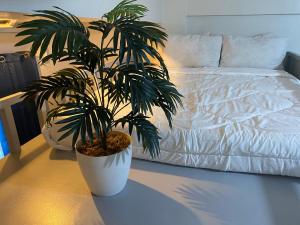 Aira staycation apartment