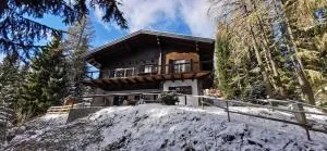 Chalet Alpl - Ferienwohnung Waldblick mit Sauna, Kamin & Whirlwanne - Hochrindl