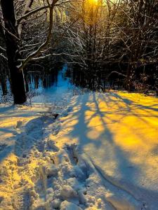 Domek pod Ostoją Góry Sowie