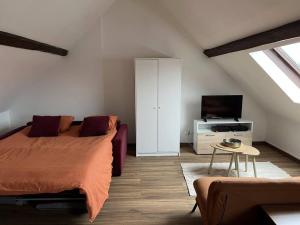 Appartements Duplex Caramel Moderne : photos des chambres