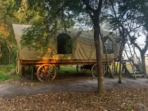 Outspan Rufiji Explorers - Mkalinzu