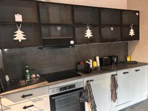 Nowy Nikisz Apartament