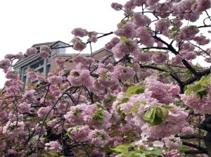 Hotel Monterey Le Frere Osaka