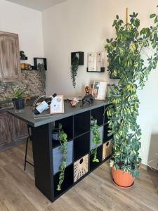 Casa Teddy Sole Torino