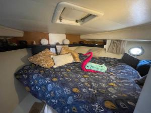 Bateaux Nuit insolite et cocon : photos des chambres